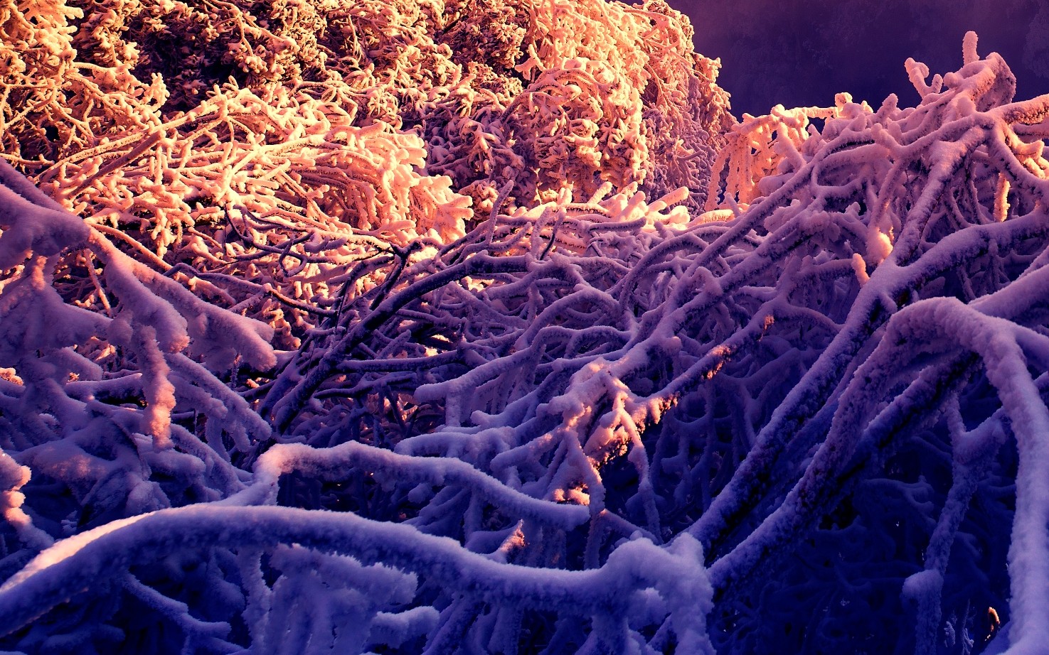 天门山雪韵
