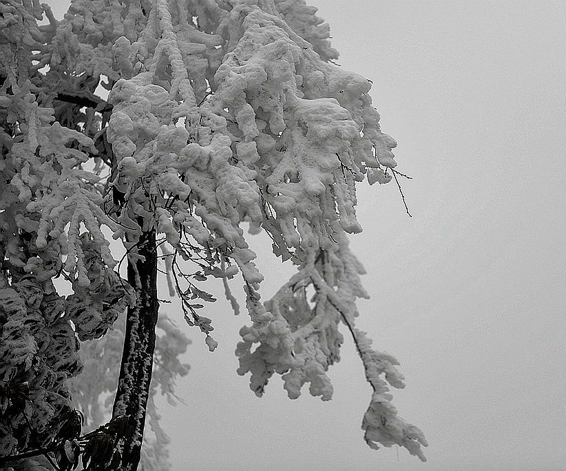 天门雪景10