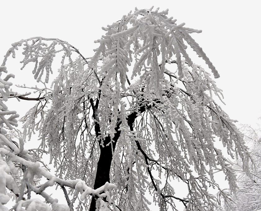 天门雪景9