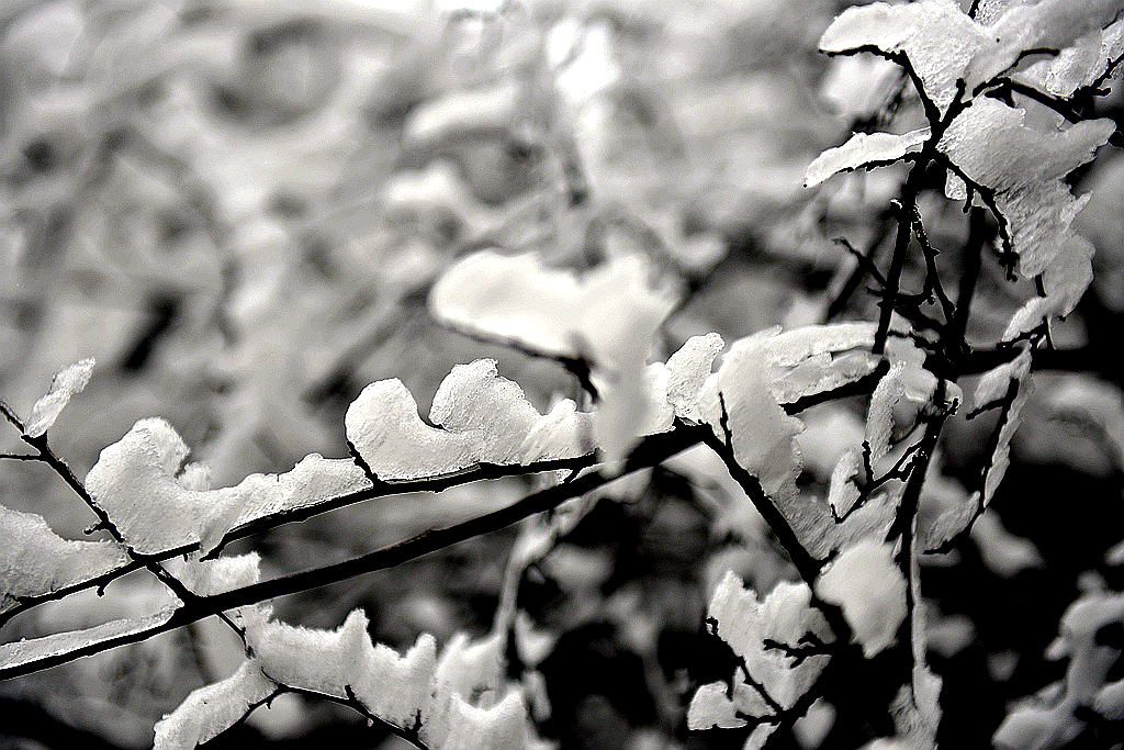 天门雪景1