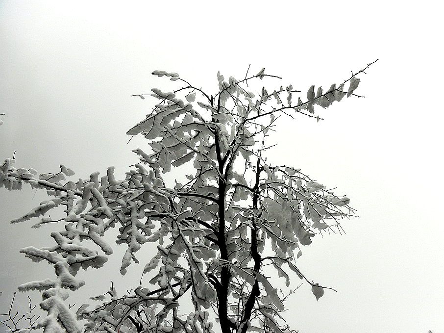 天门雪景18