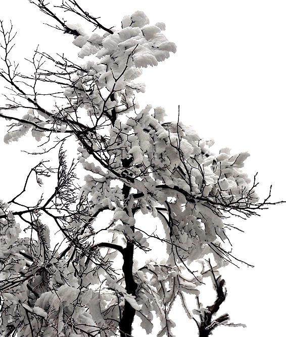 天门雪景8