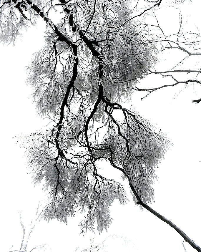 天门雪景17