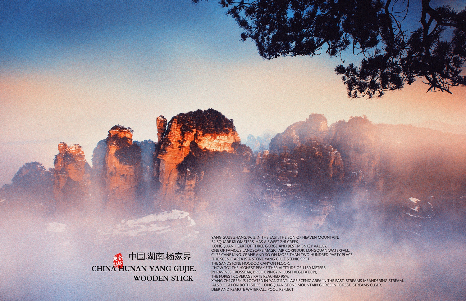 杨家界 棒槌峰