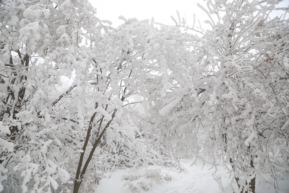 梦里雪乡