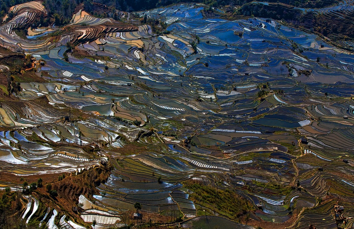 元阳风光14