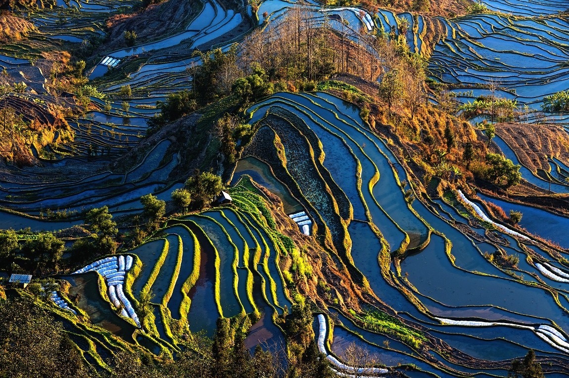 元阳风光16