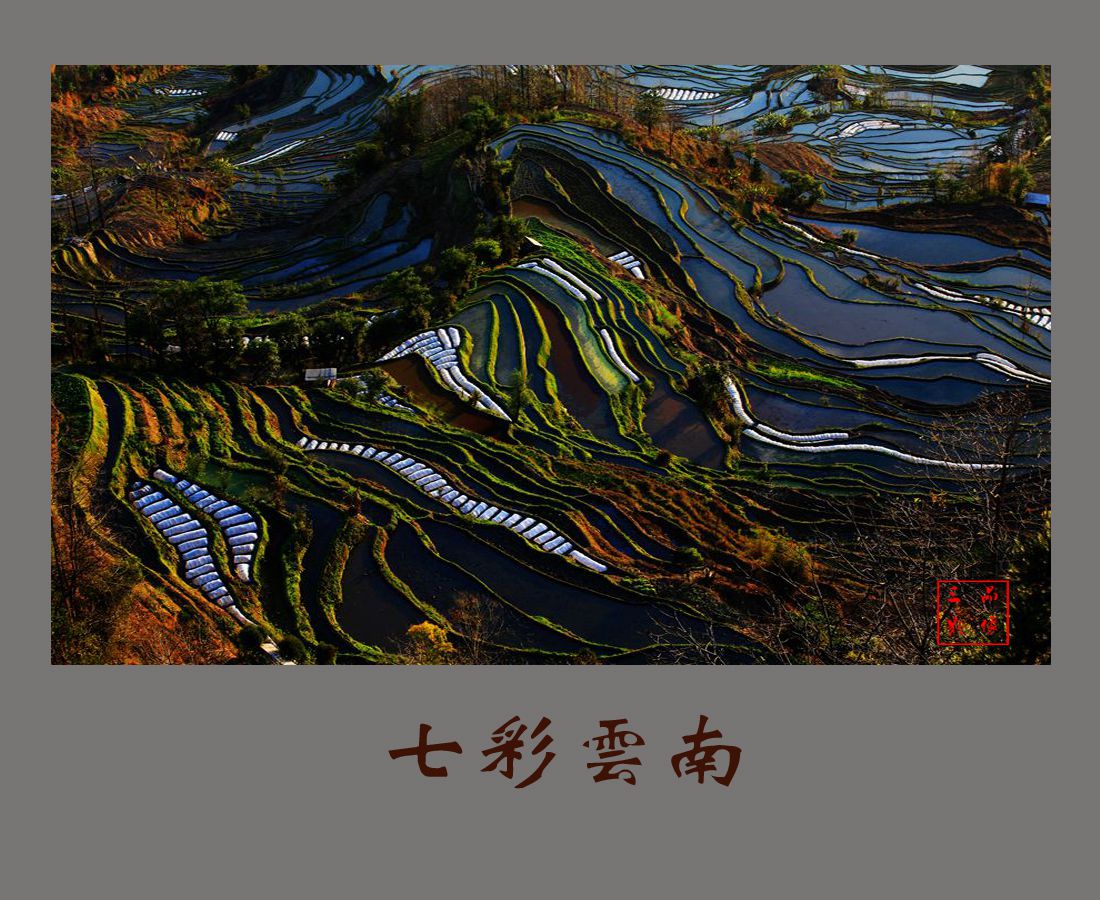 七彩云南