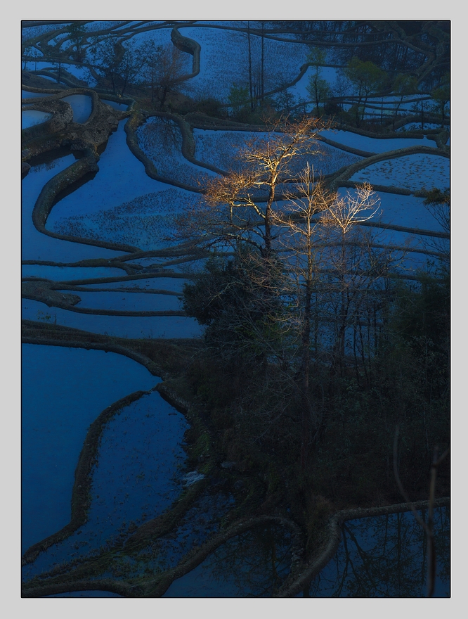元阳倮马点梯田2