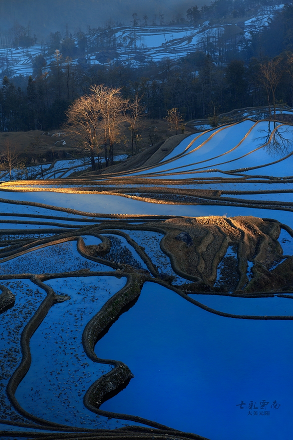 元阳倮马点梯田3