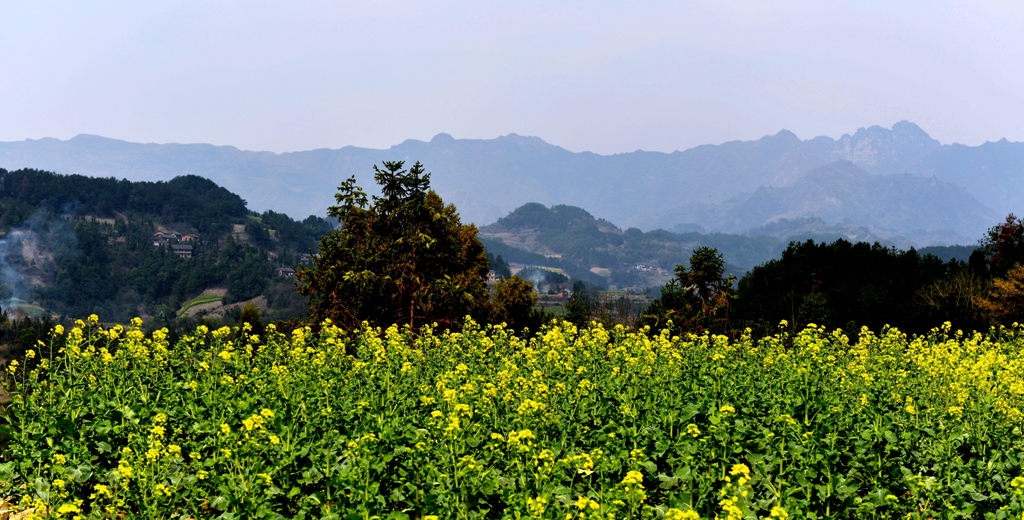 故乡风景1