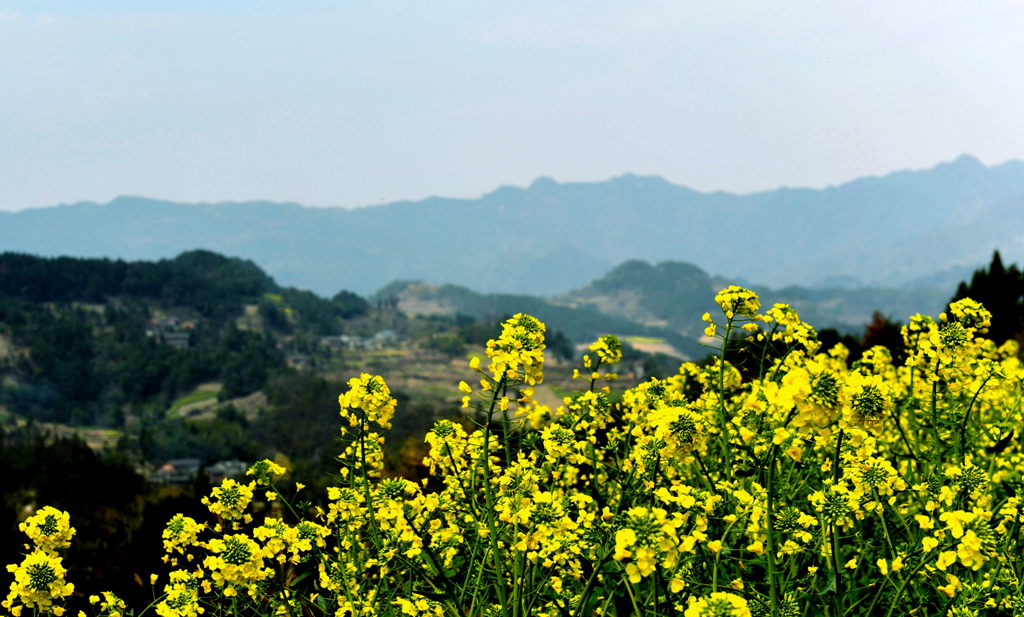 故乡风景2