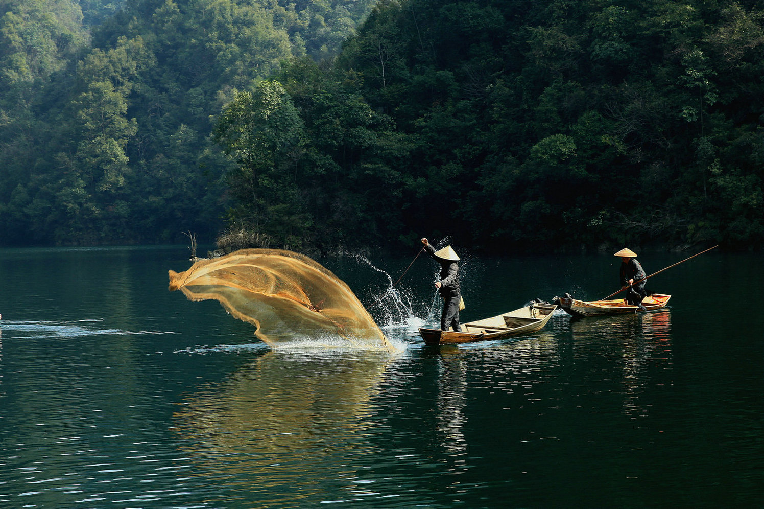 碧湖金网