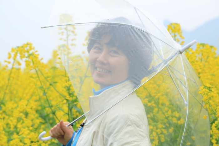 朦胧美