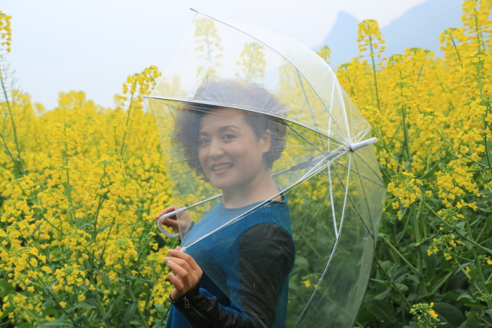 朦胧美