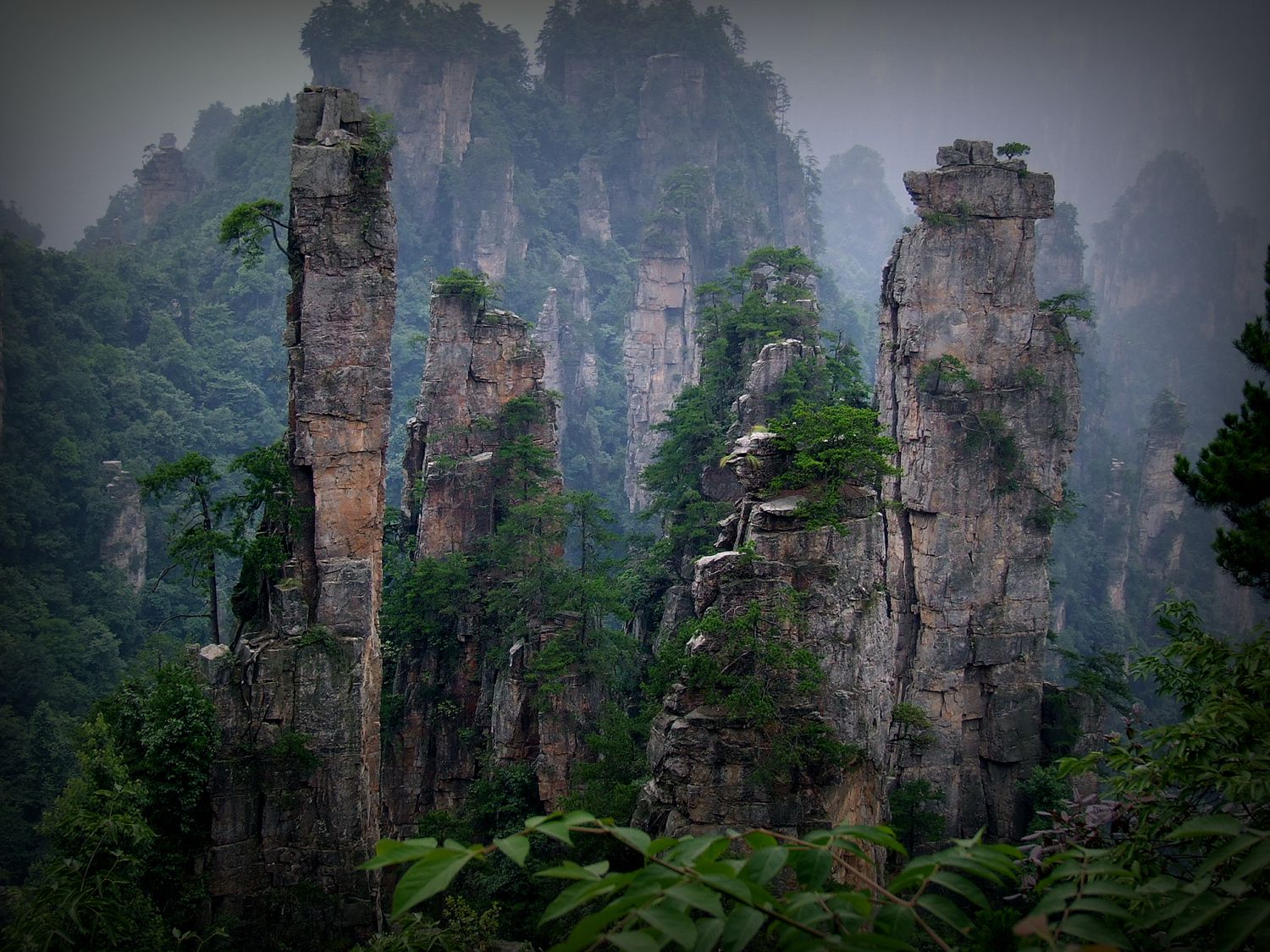 杨家界风光