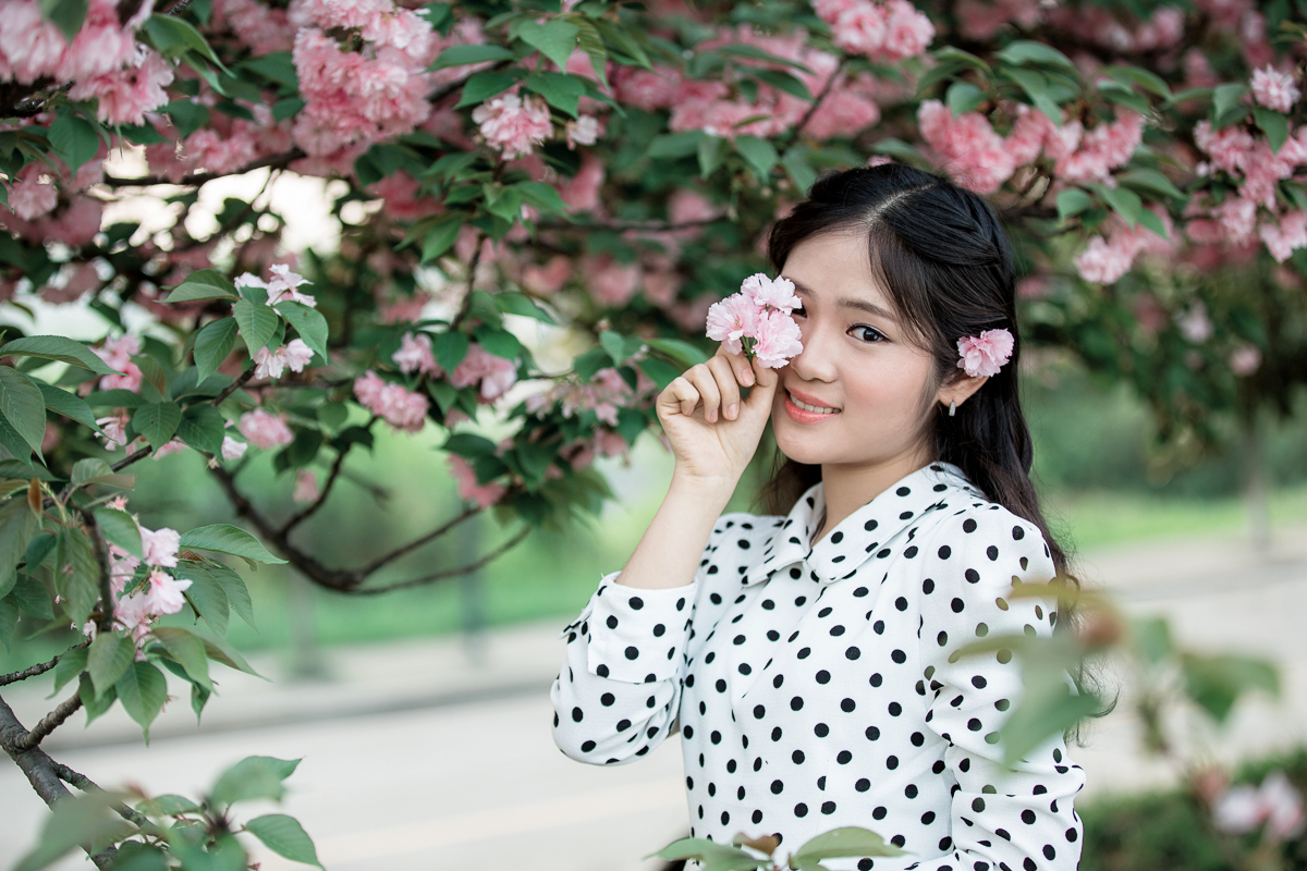 樱花之恋