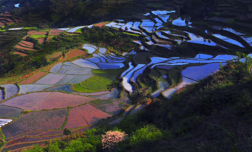 万狐山梯田