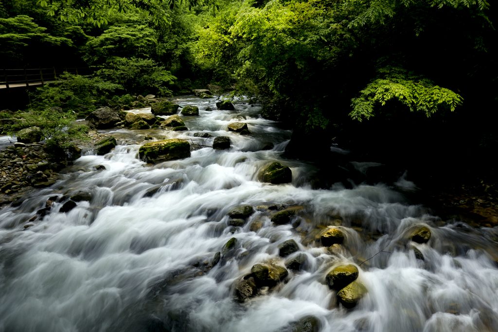 大峡谷溪水