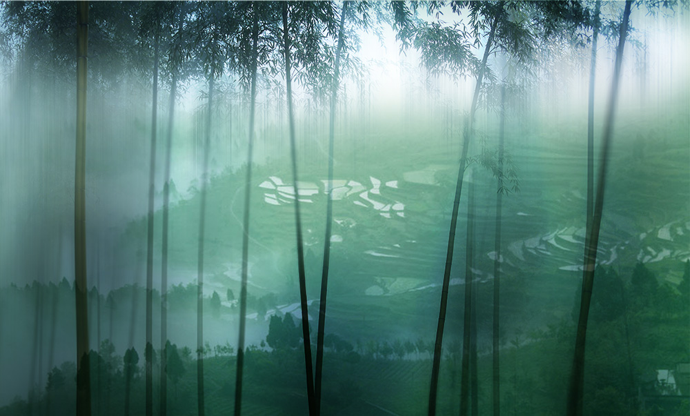 竹林深处雾朦胧