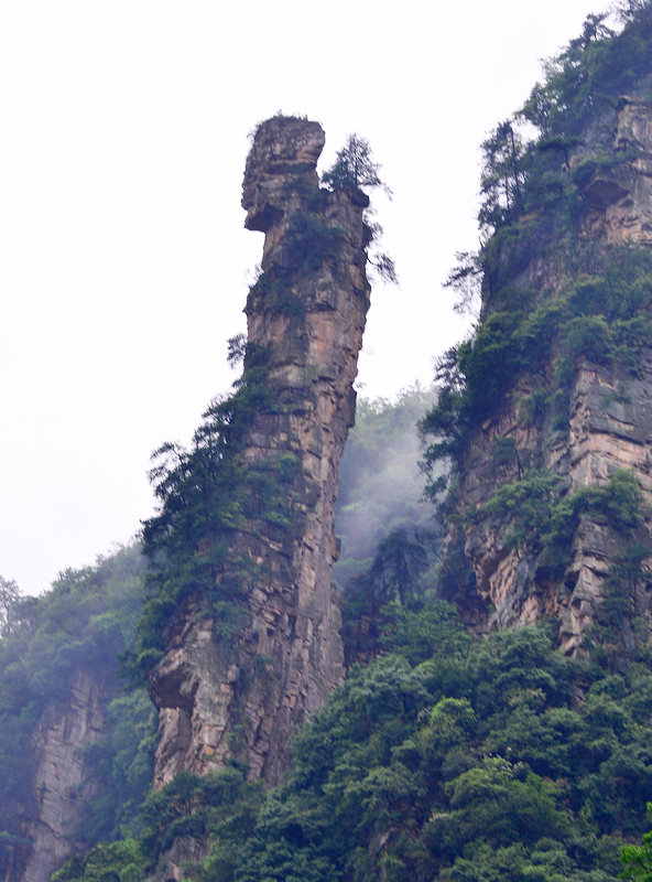 采药老人