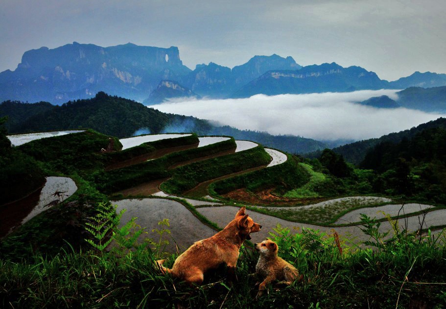 还是天门山