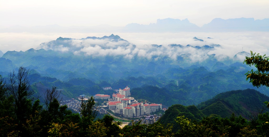碧桂园3