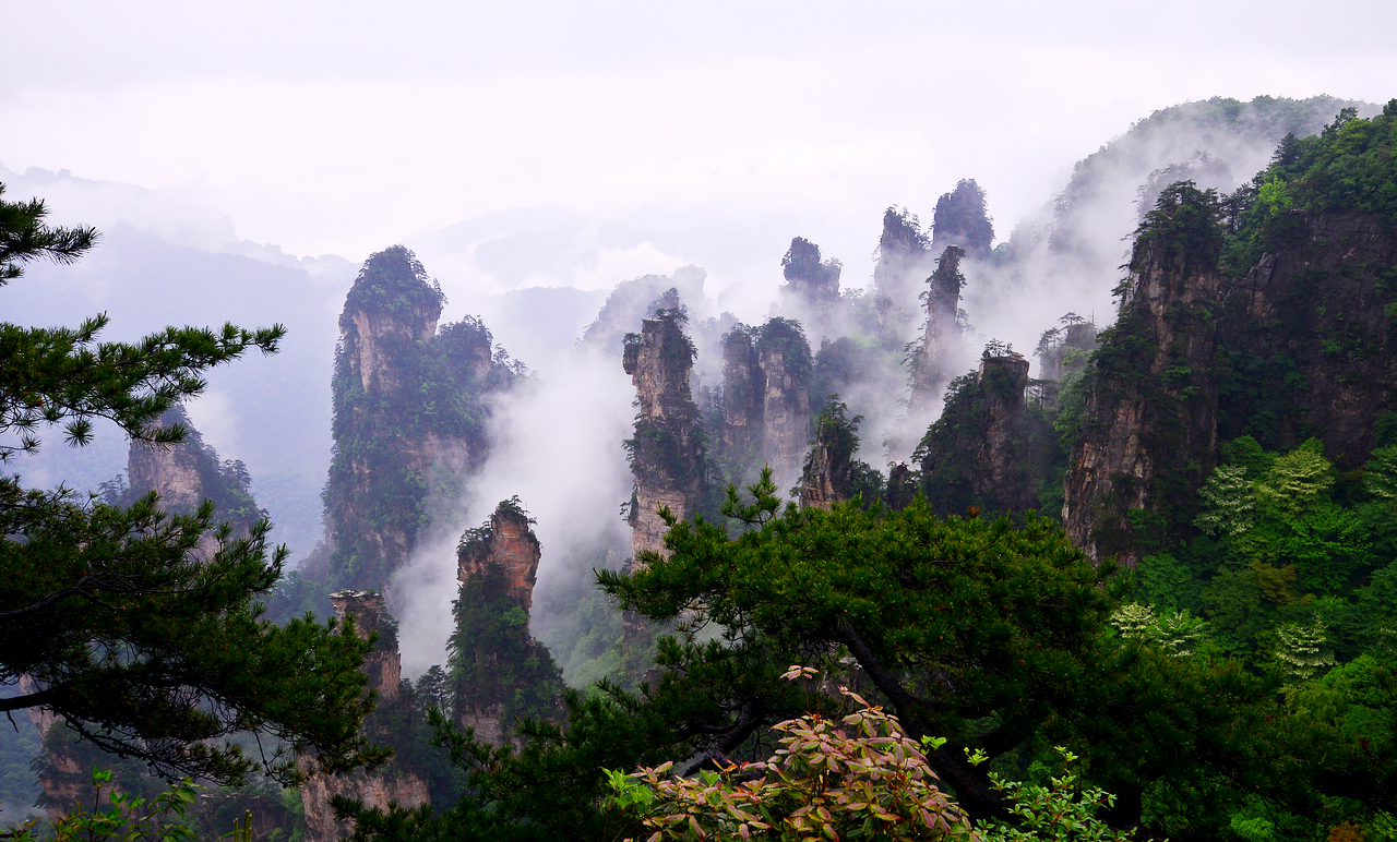 天子山美景一角