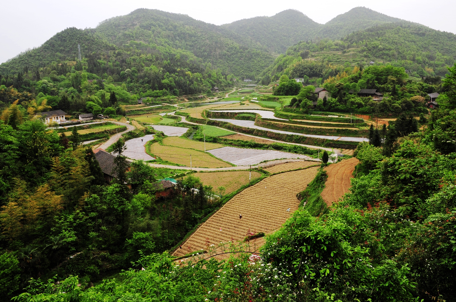山里田园