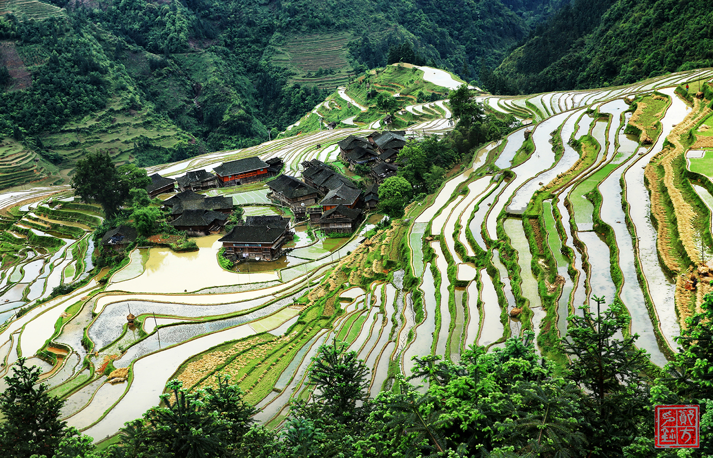 加榜梯田