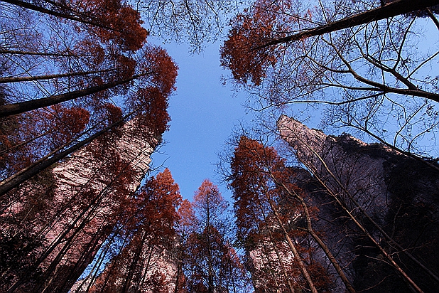 金鞭秋韵