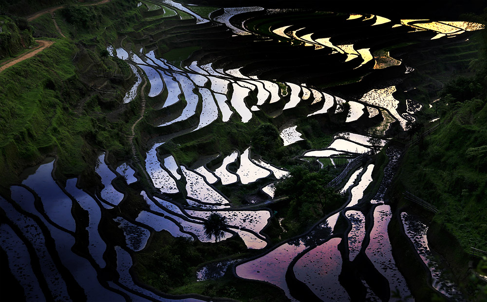 多彩梯田