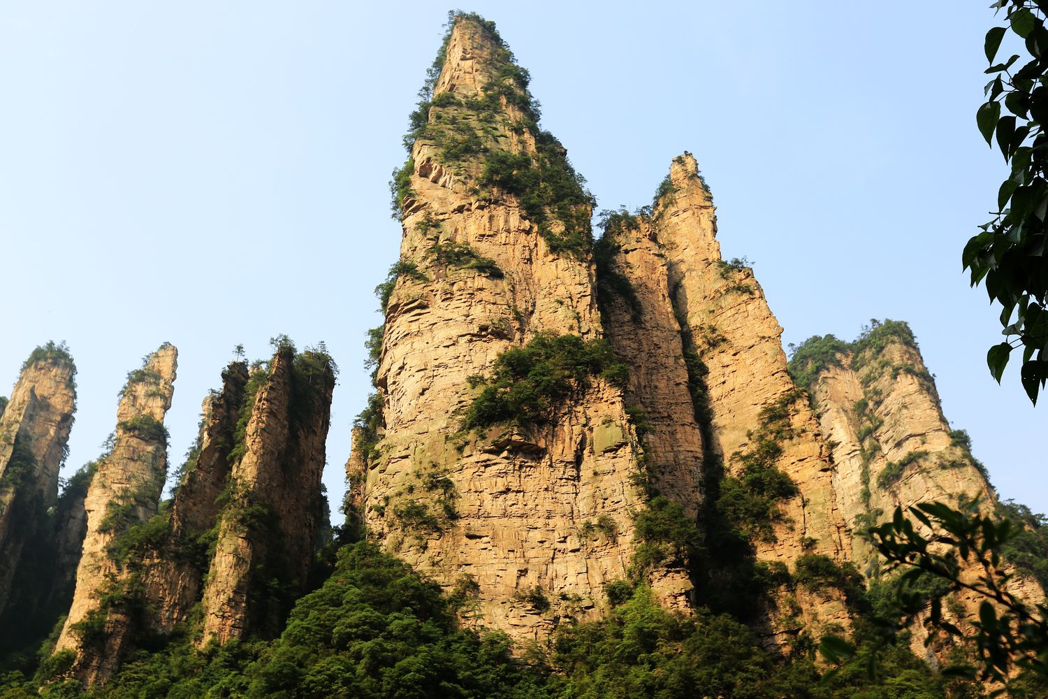 欲与天公试比高