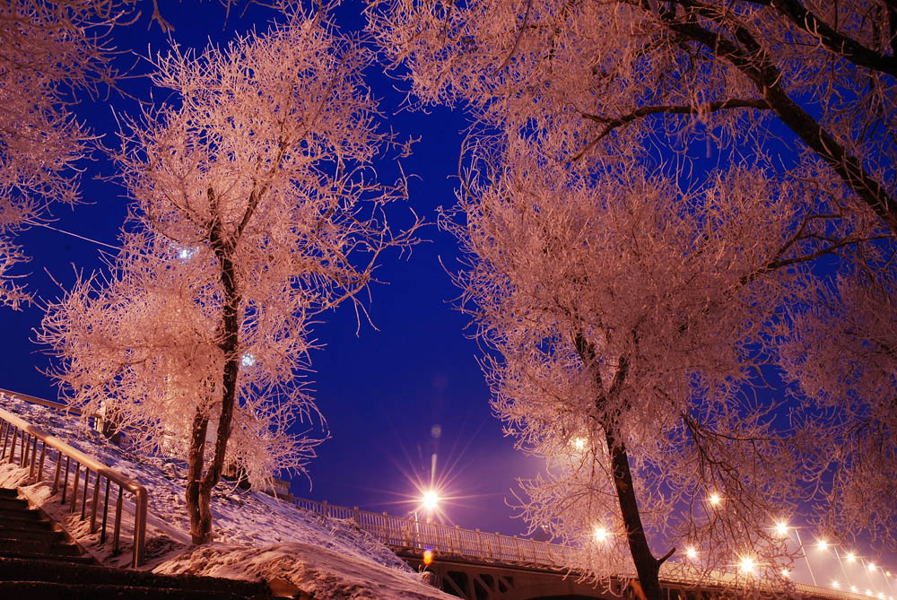 雾凇夜景