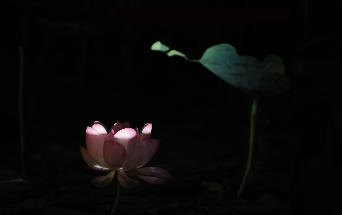 红灯一盏