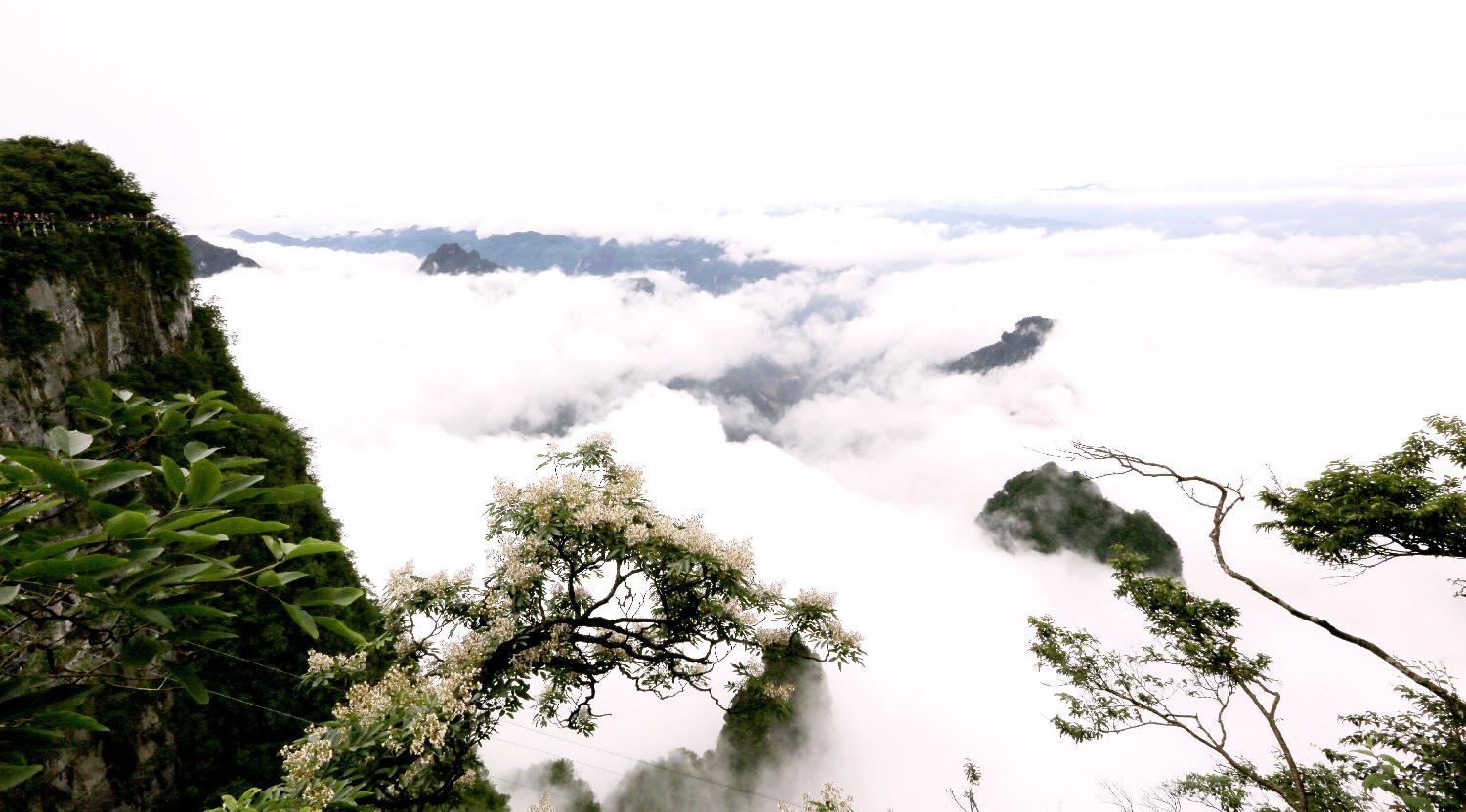 云聚天门山3