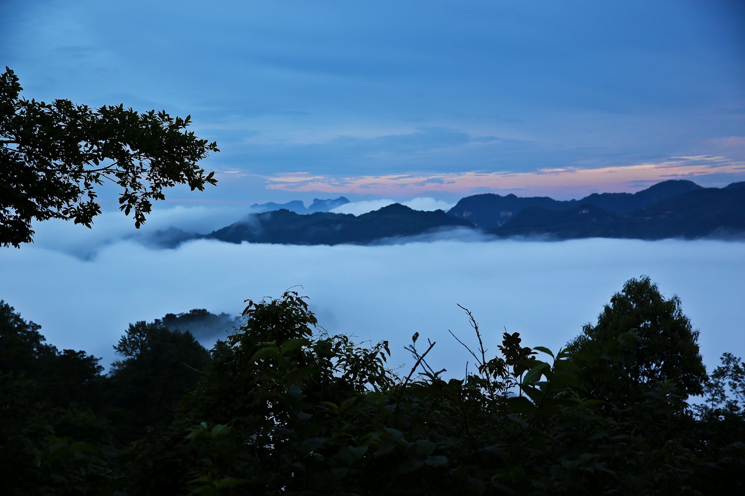 天子山雾海
