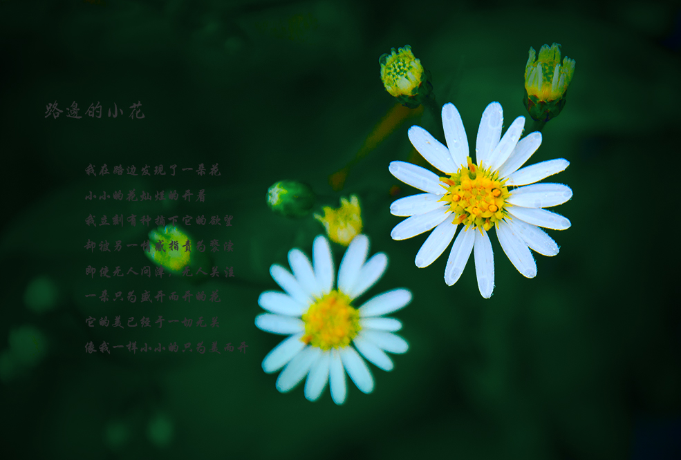 小花