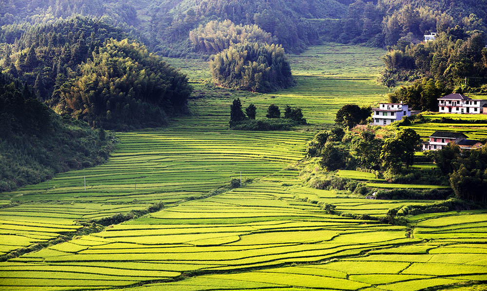 山村