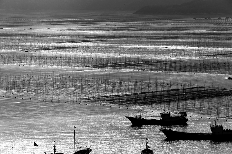霞浦滩涂