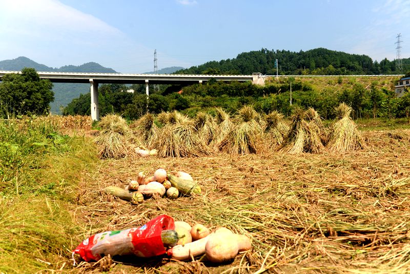 乡村