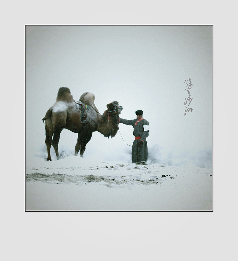 寂寞沙洲