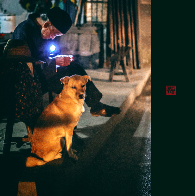 护卫