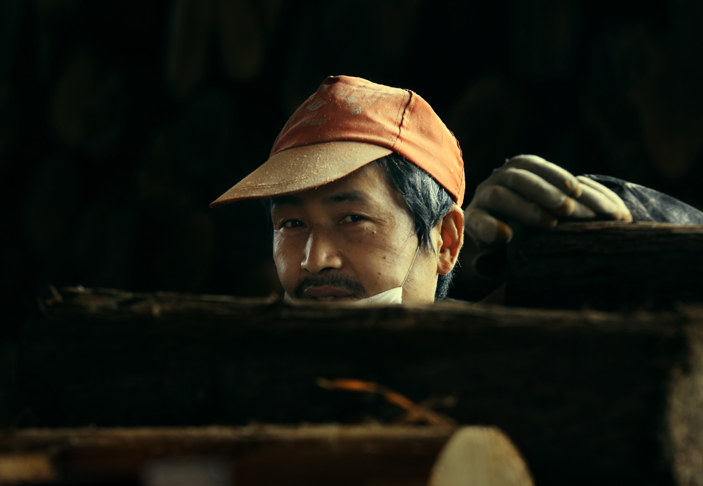 木业人写真