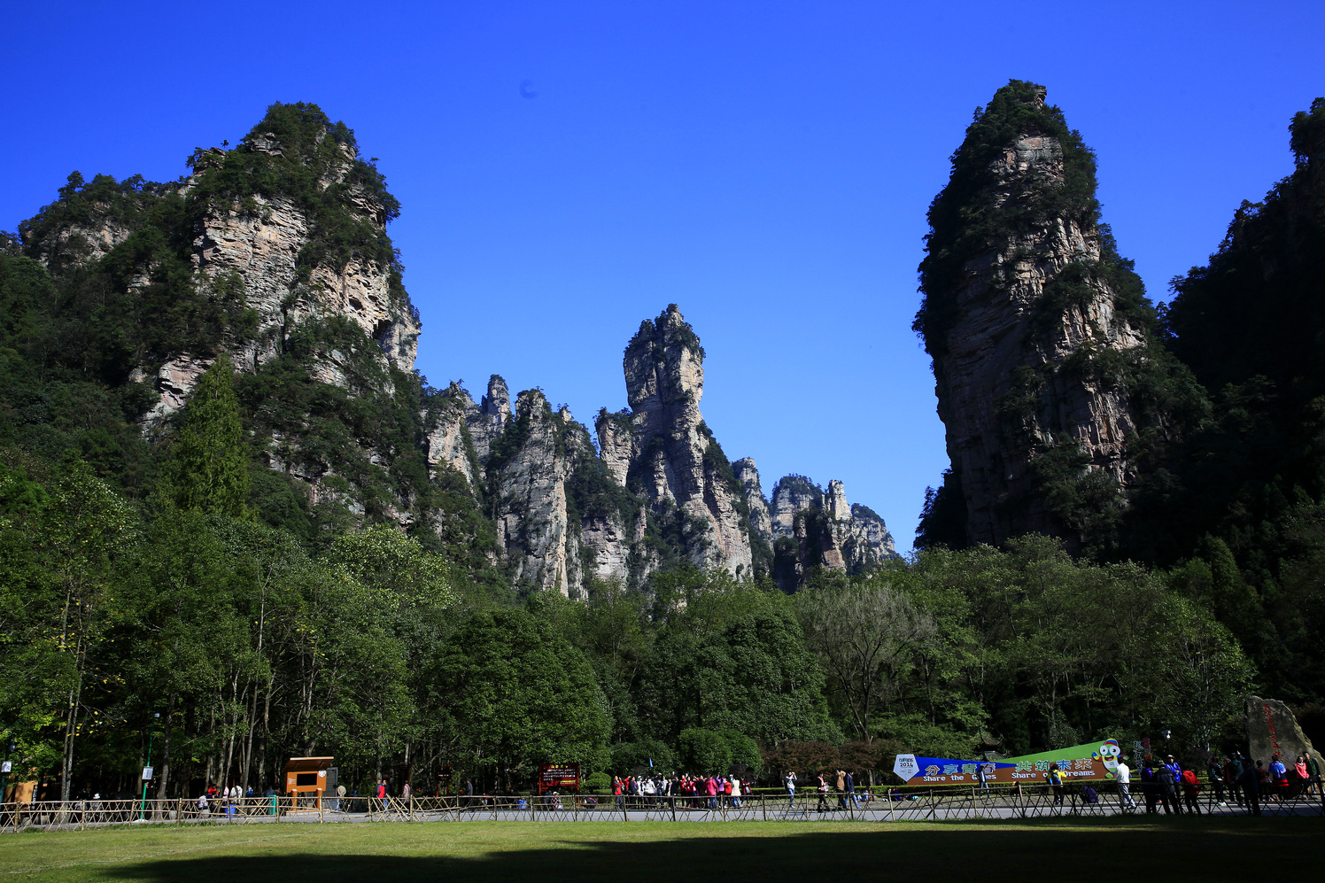 伟岸的与渺小的