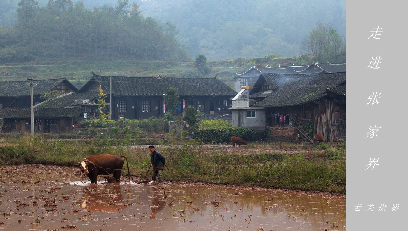 走进张家界