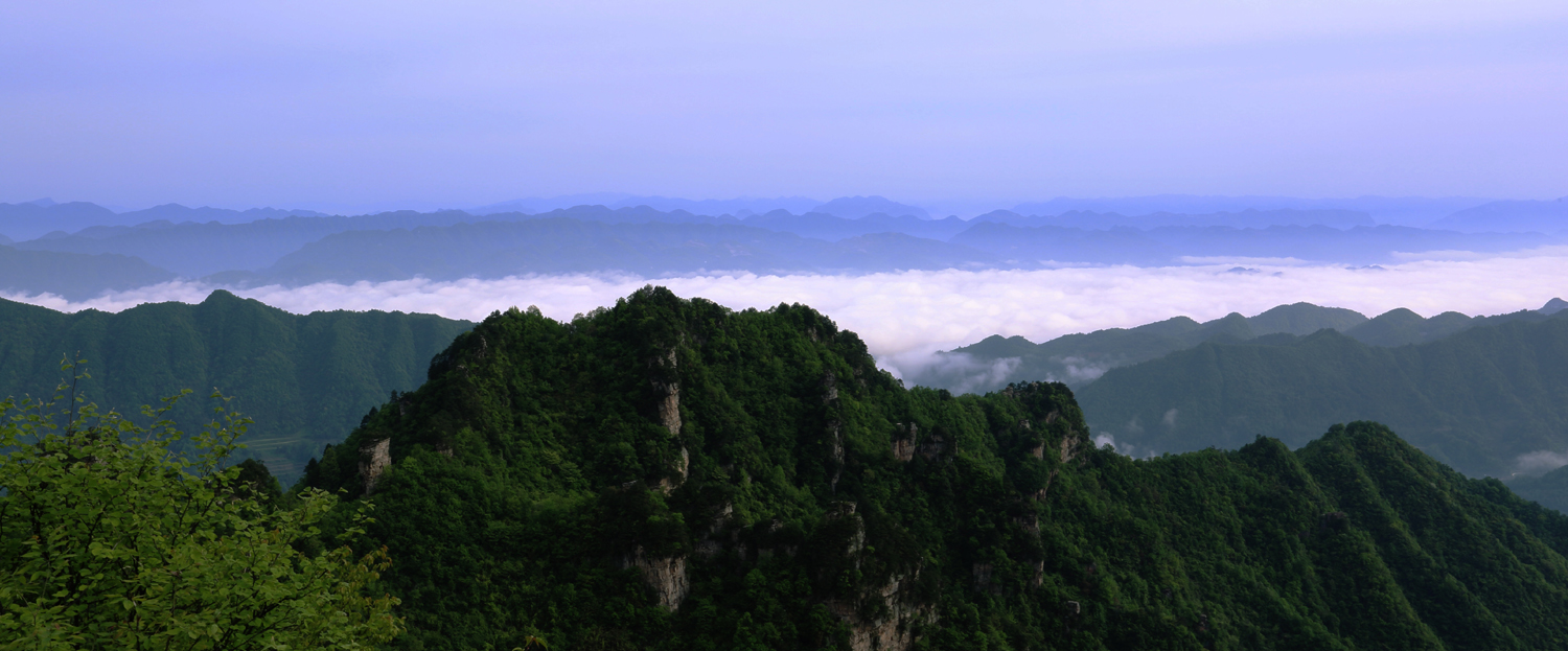 天子山云海