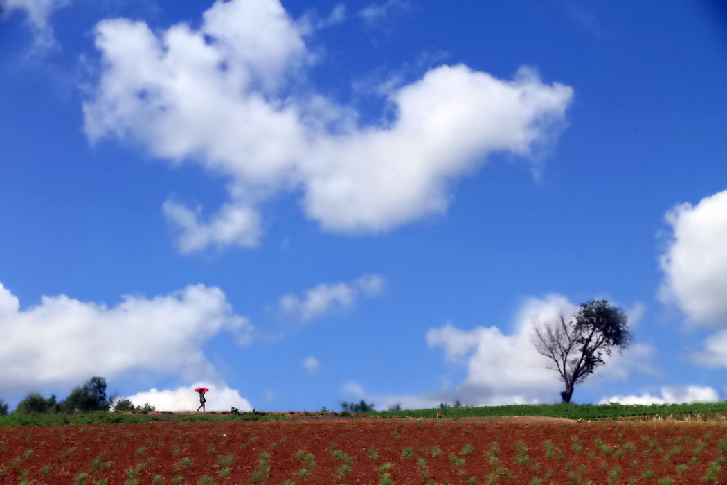 新加坡鱼尾狮旅游照
