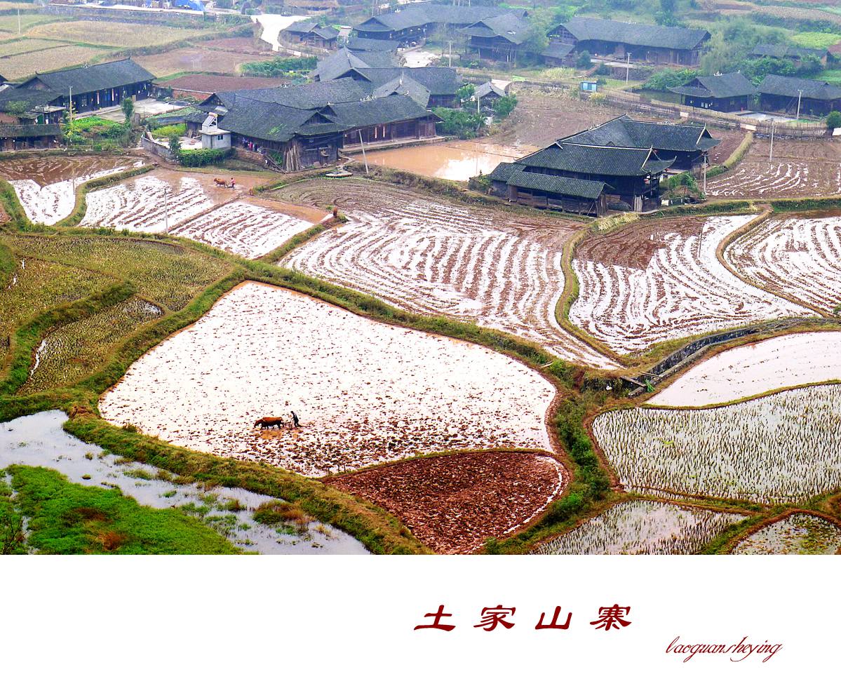 土家山寨