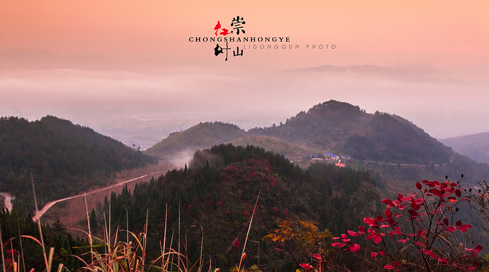 崇山红叶